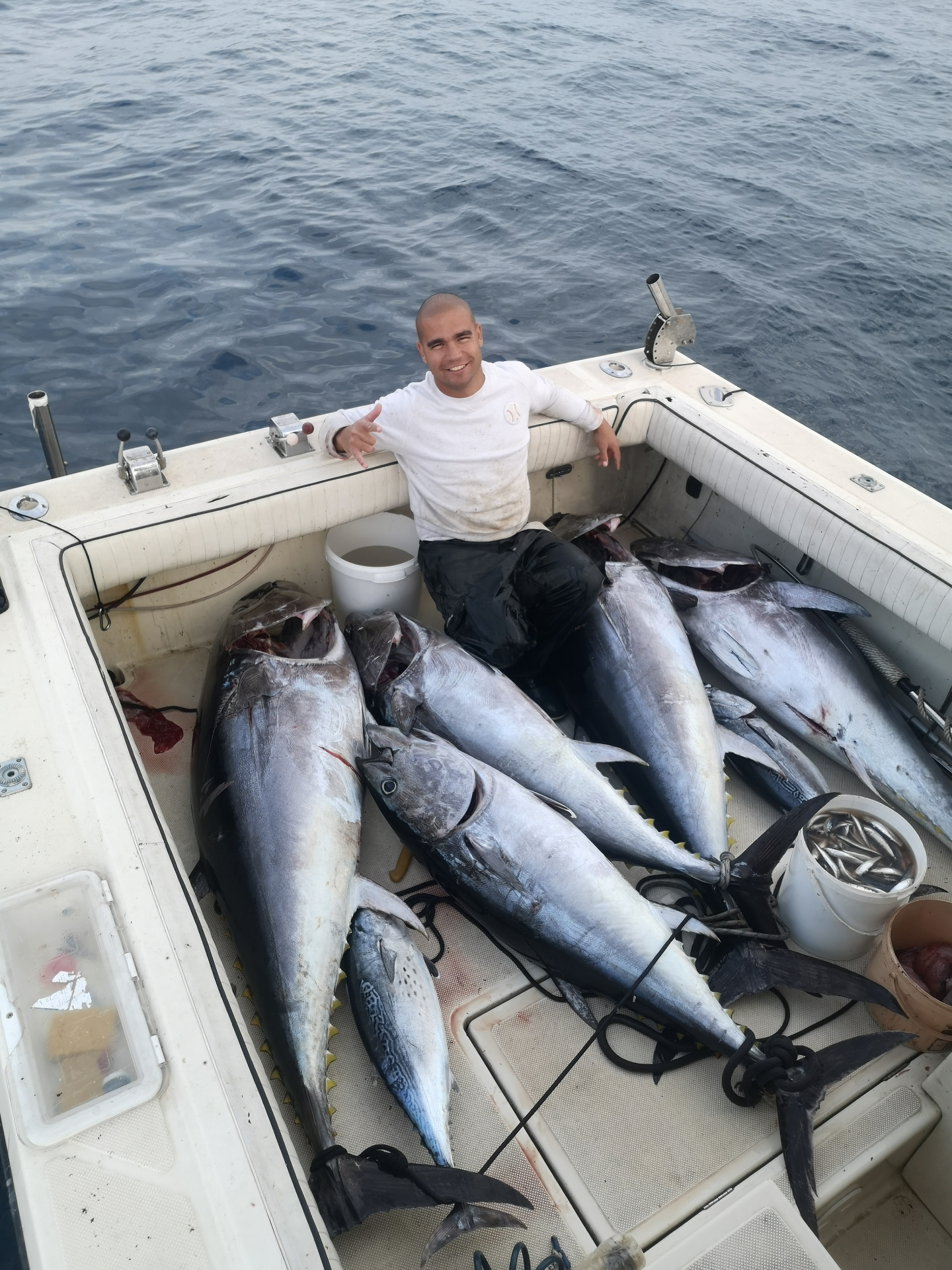 Bluefijn Bluefin Tuna Fishing in Zadar, Croatia — Honesto Maena Charters